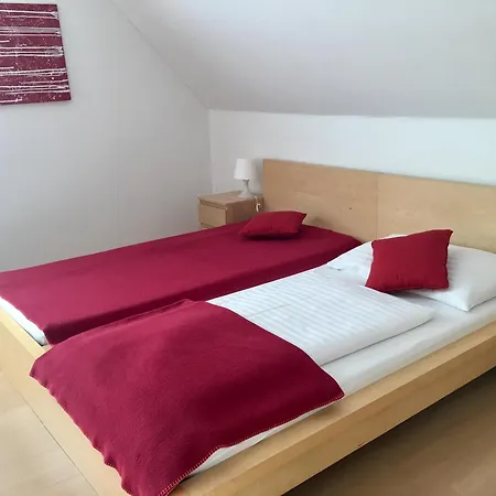Goesser Bachgasslhof -- Bed And Breakfast -- Apartments-3